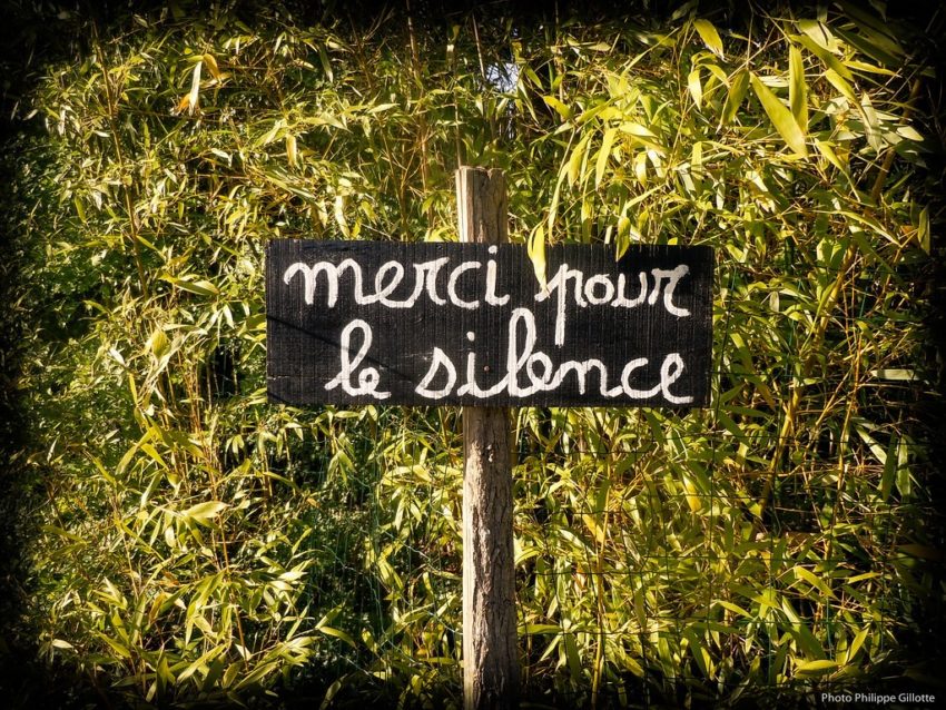 image description: photograph of hand painted sign saying “merci pour le silence” in front of a leafy background. Credit: "Day of Silence" by Gitgat is licensed under Creative Commons BY-NC-ND 2.0