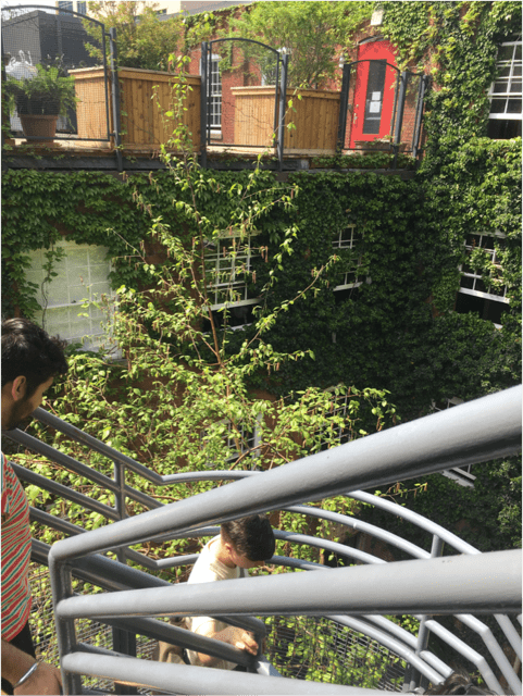 Walking down the staircase in the 401 building’s outdoor courtyard. 