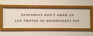 Sign that reads: snapshots don't grow up