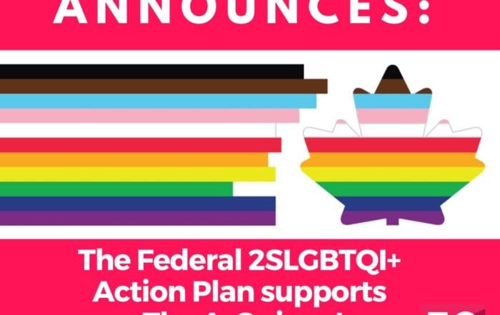 The ArQuives Announces the Federal 2sLGBTQI+ Action Plan Supports The ArQuives!